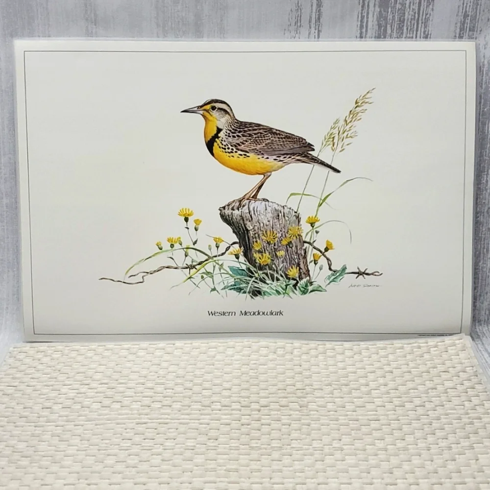 Ned Smith 6Pc Placemats SongBird Series - Picture 6 of 14